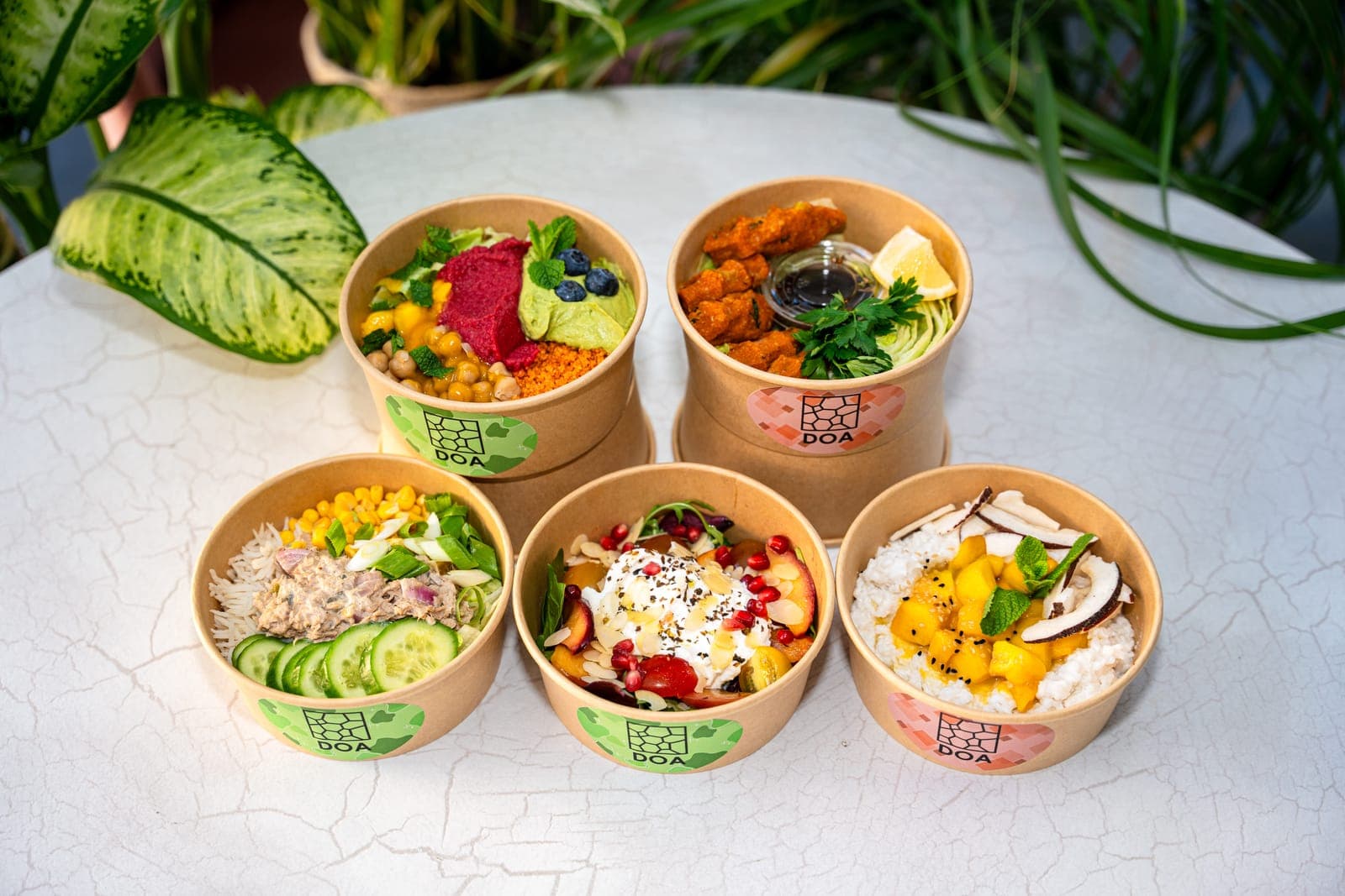 Fünf DOA-Bowls zum Mitnehmen zwischen Grünpflanzen